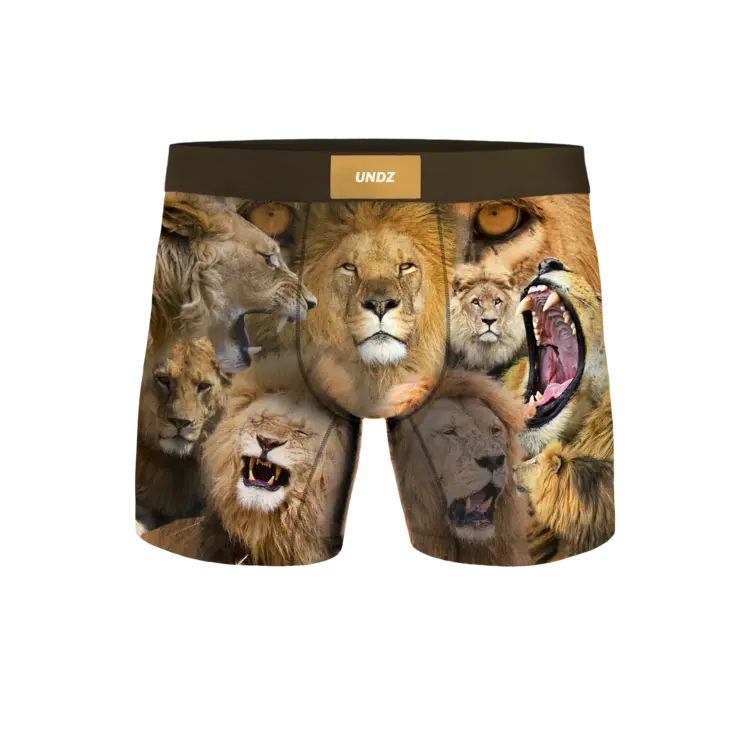 Undz HOMMES CLASSIC BOXER LIONS