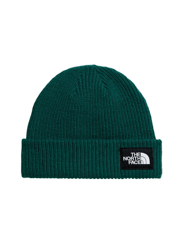 THE NORTH FACE SALTY LINED BEANIE PACIFIC TEAL