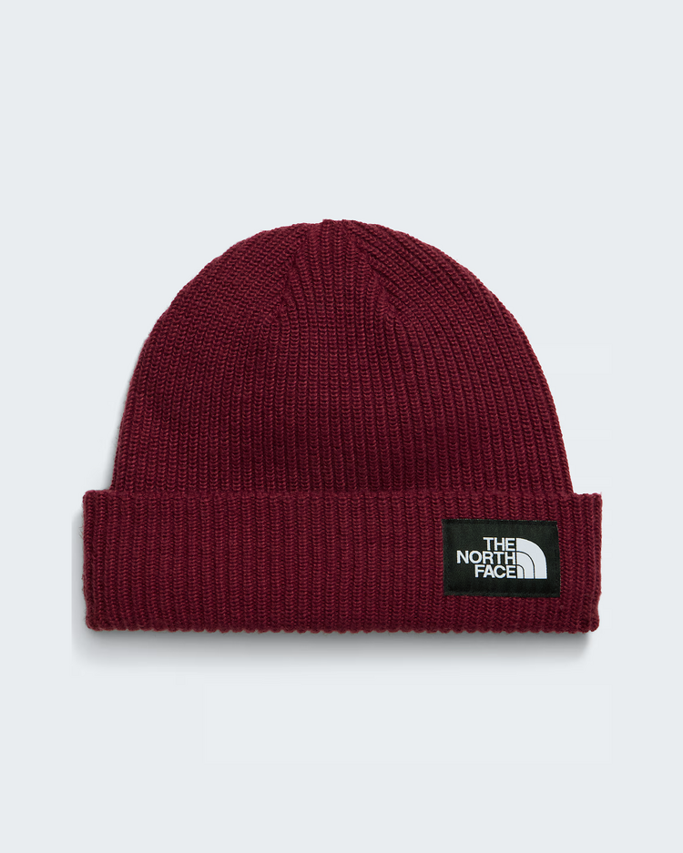 THE NORTH FACE SALTY LINED BEANIE