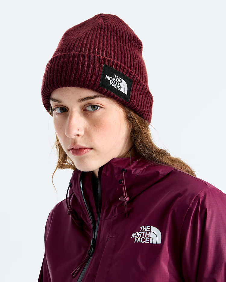 THE NORTH FACE SALTY LINED BEANIE