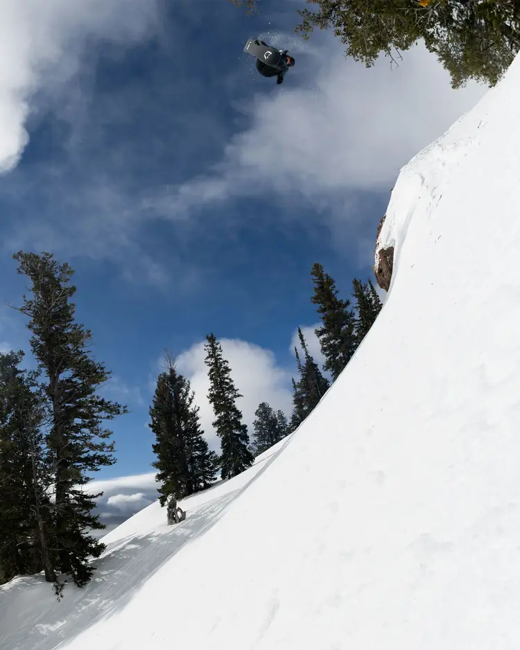 Lib Tech MEN'S DPR SNOWBOARD