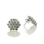 FH2 AZ0015 Crystal Cluster Earrings - pierced