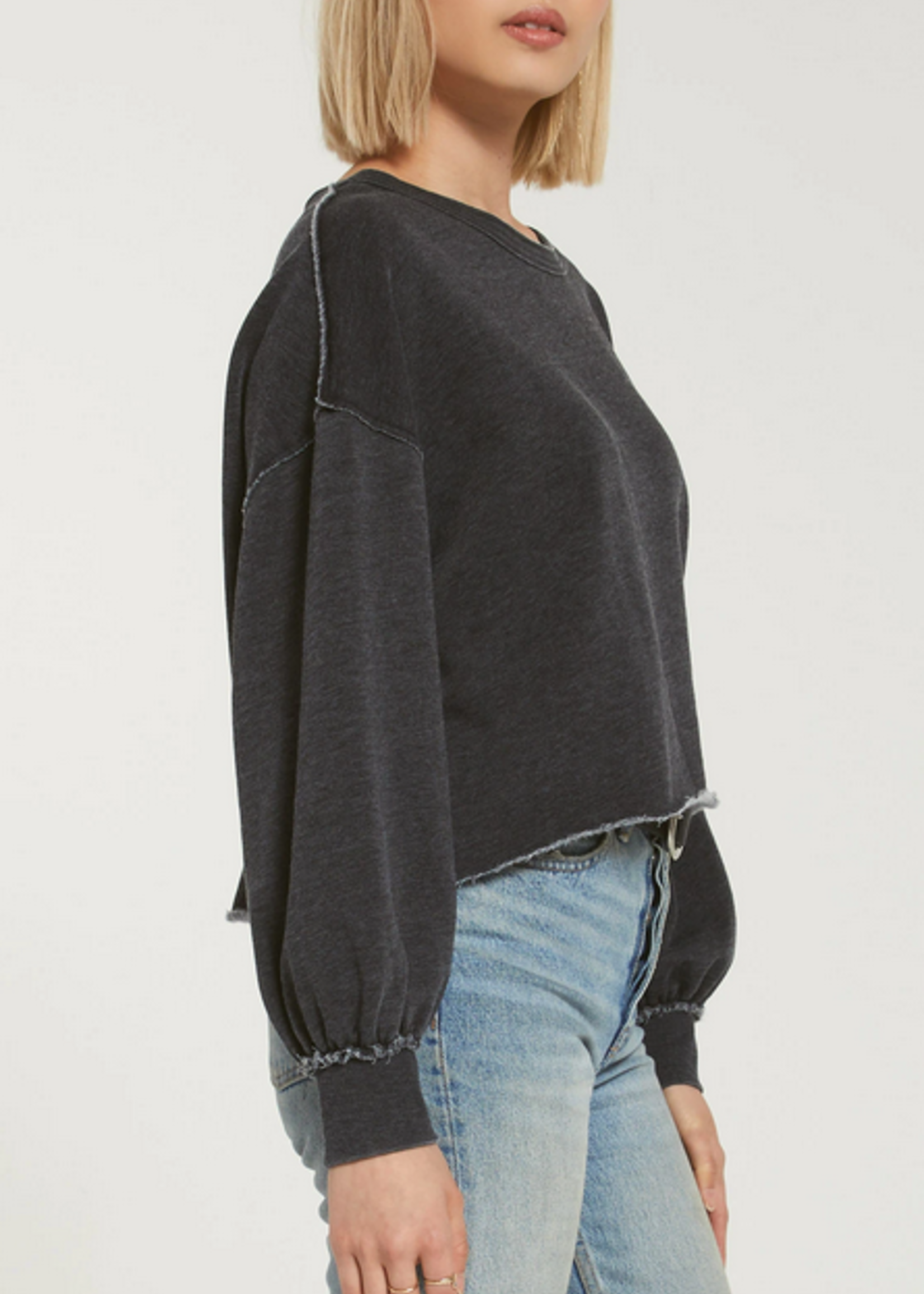 Z SUPPLY TEMPEST SWEATSHIRT