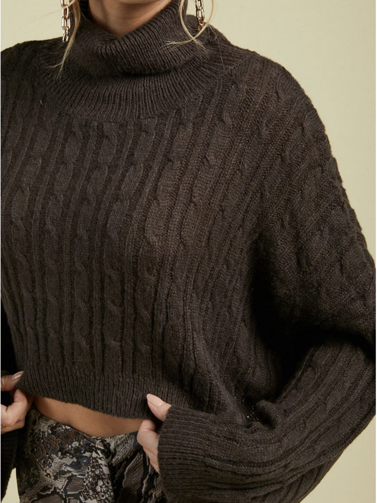 SAGE THE LABEL BAILEY TURTLENECK SWEATER