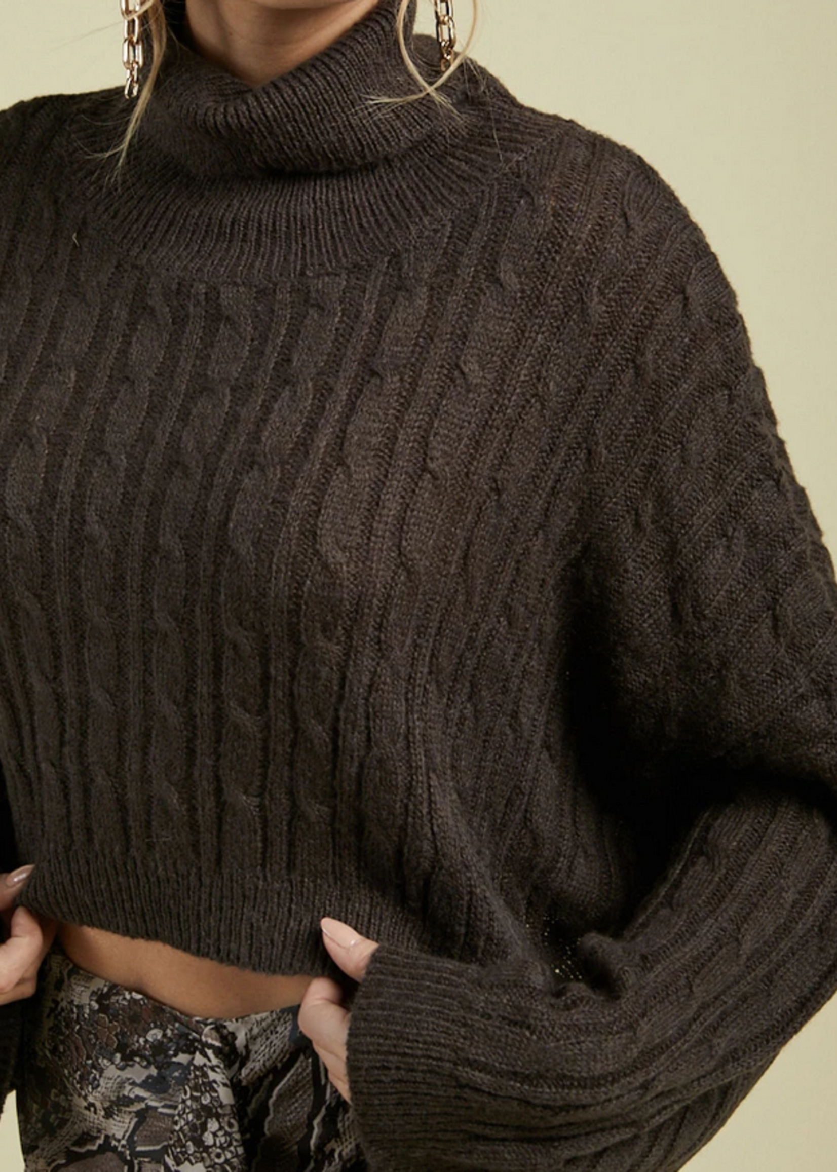 SAGE THE LABEL BAILEY TURTLENECK SWEATER