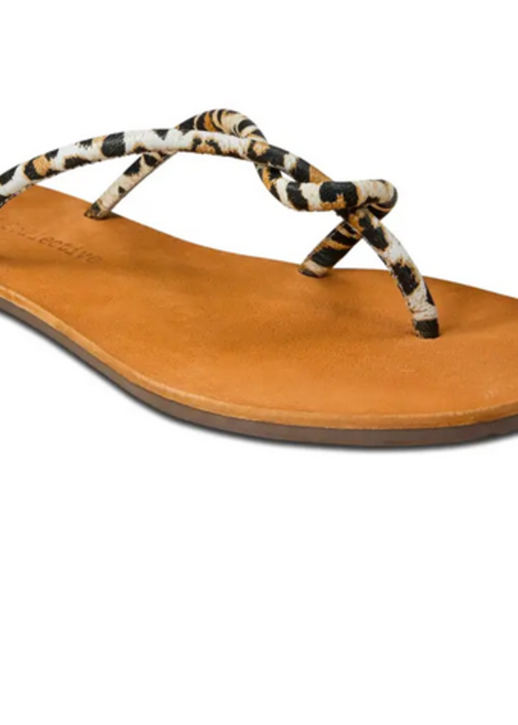 BAND OF GYPSIES IBIZA LEOPARD FLIP FLOP