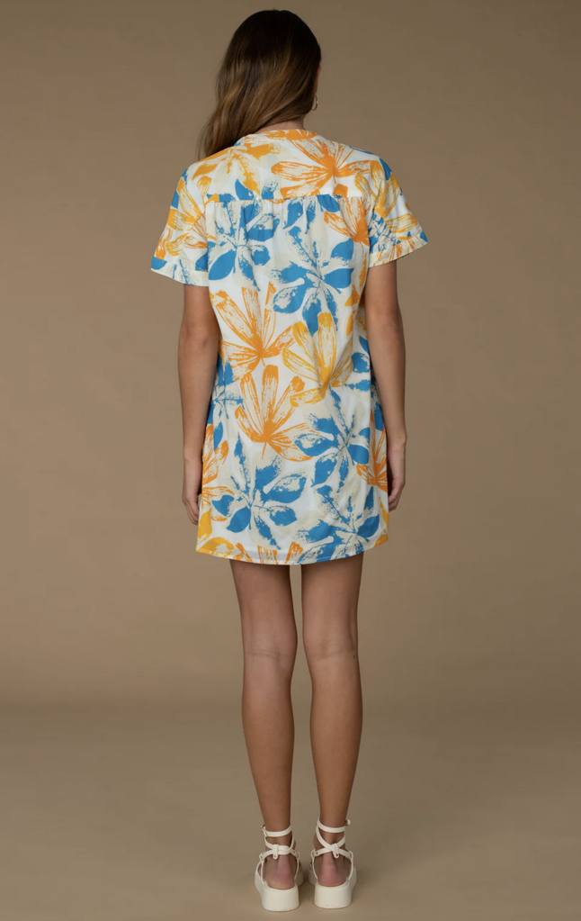 ELIZABETH JAMES LANI DRESS