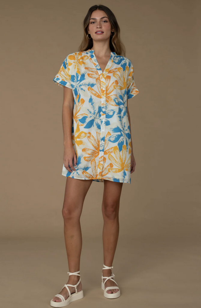 ELIZABETH JAMES LANI DRESS