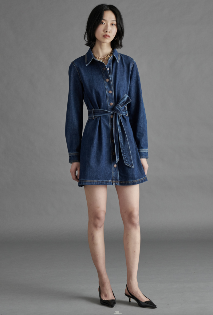 STEVE MADDEN JOLENA DRESS