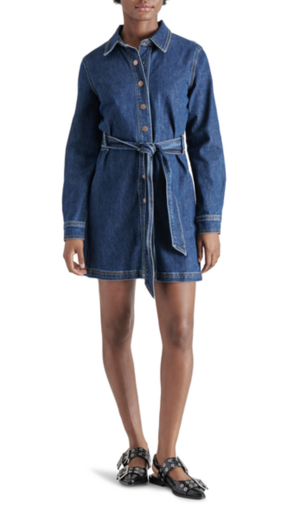 STEVE MADDEN JOLENA DRESS