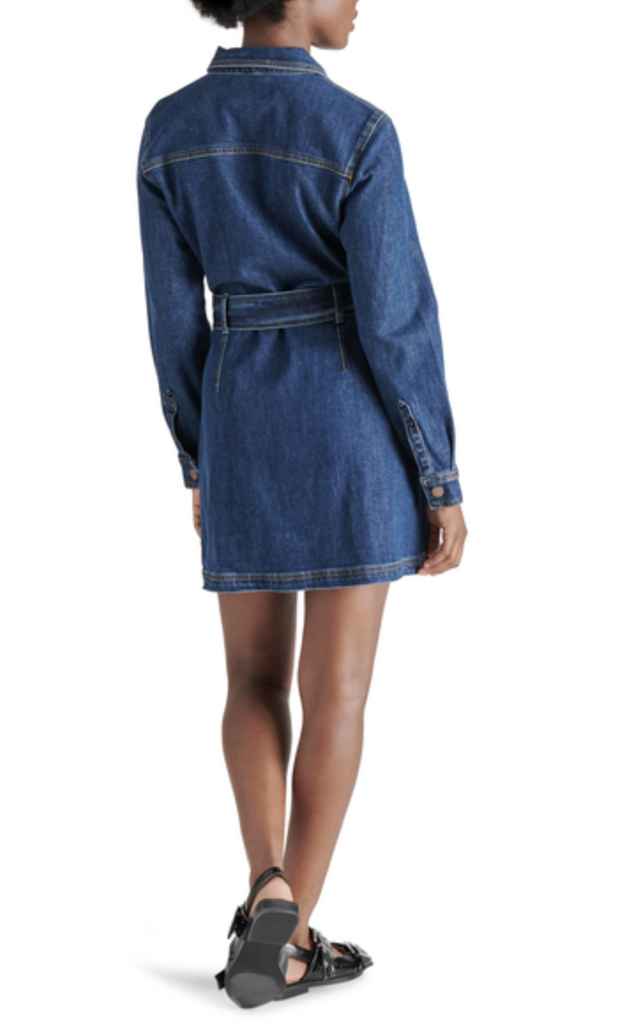 STEVE MADDEN JOLENA DRESS