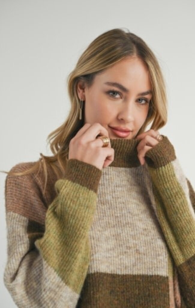 Sadie & Sage FOREST WALK TURTLENECK SWEATER
