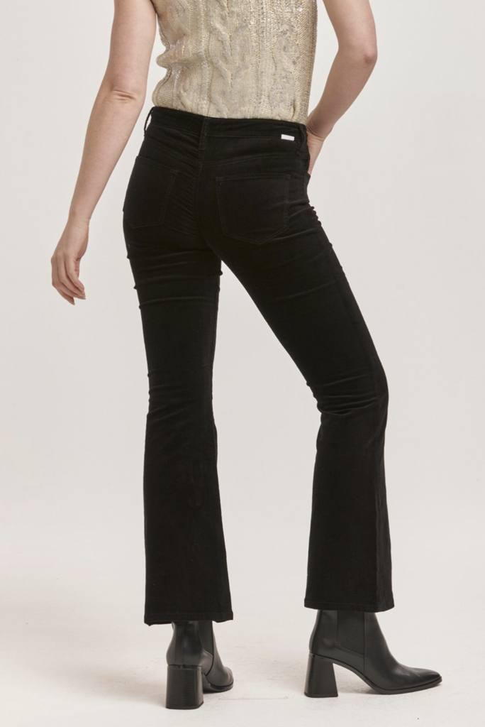 DEAR JOHN ROSA MID RISE FULL INSEAM FLARE PANTS