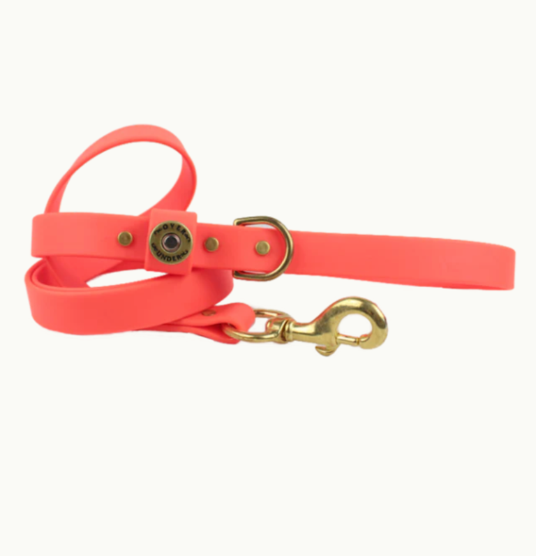 OVER UNDER WATER DOG LEASH