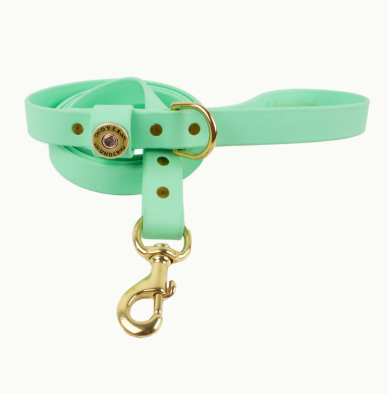 OVER UNDER WATER DOG LEASH