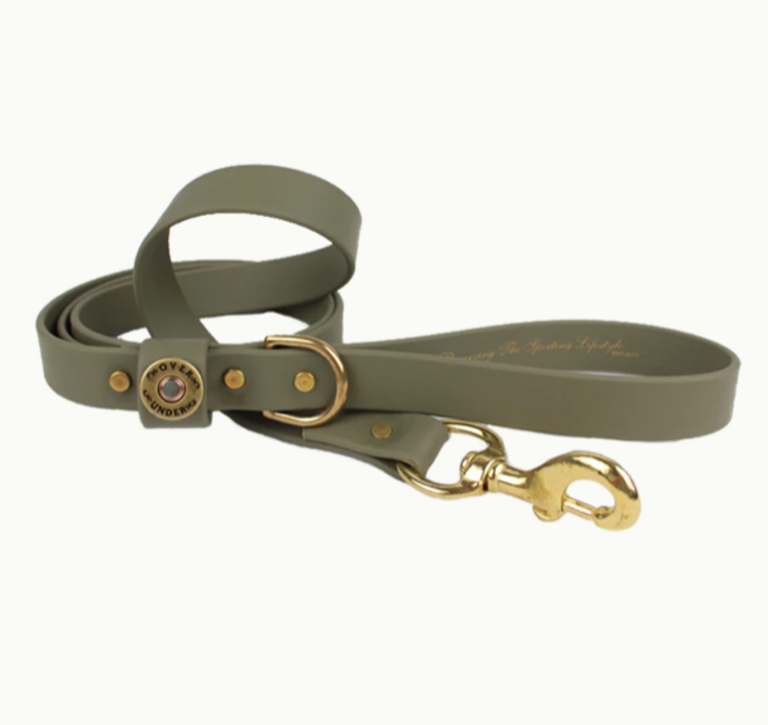 OVER UNDER WATER DOG LEASH