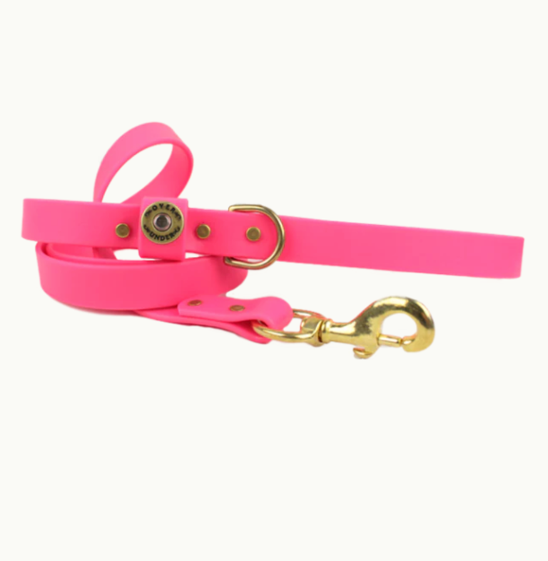OVER UNDER WATER DOG LEASH