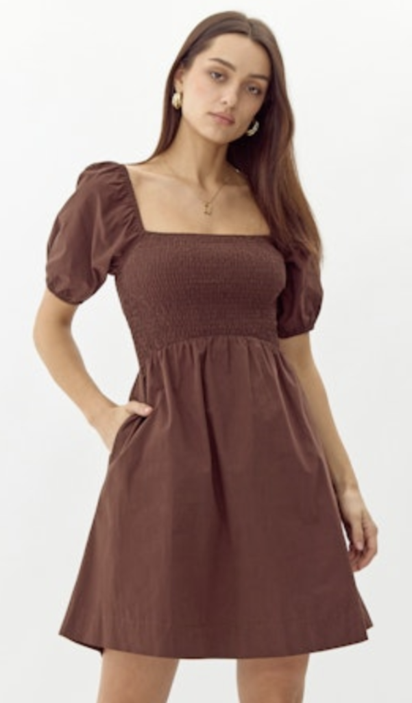 EISIE POPLIN SMOCKED MINI DRESS
