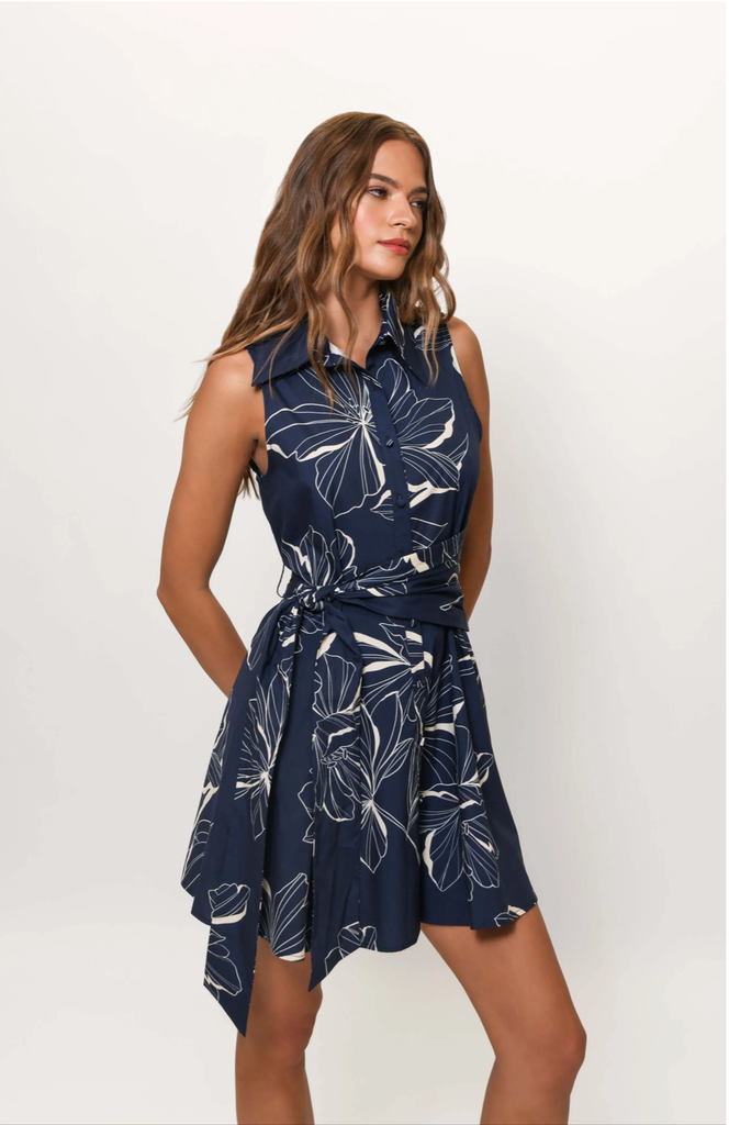 BILTMORE DRESS