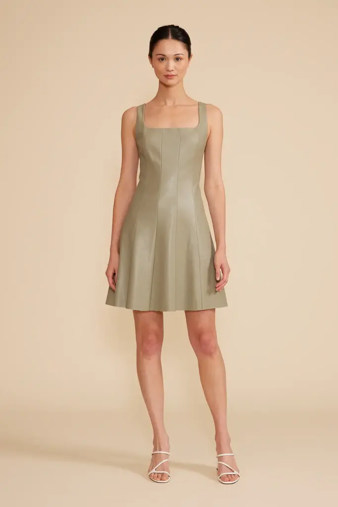 Lucy Paris MISTY SKATER DRESS