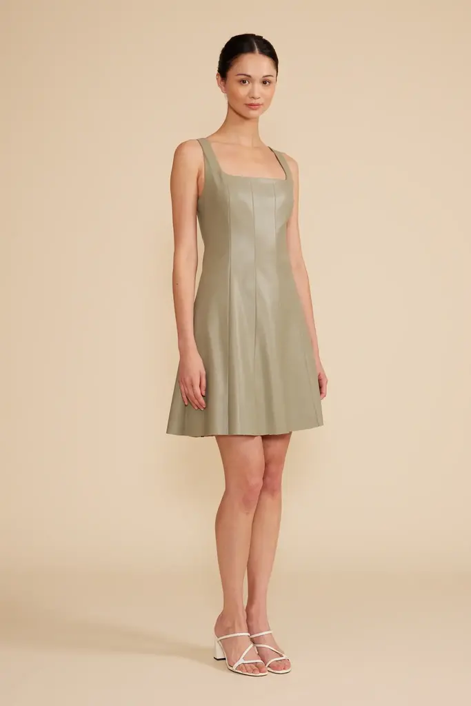 Lucy Paris MISTY SKATER DRESS