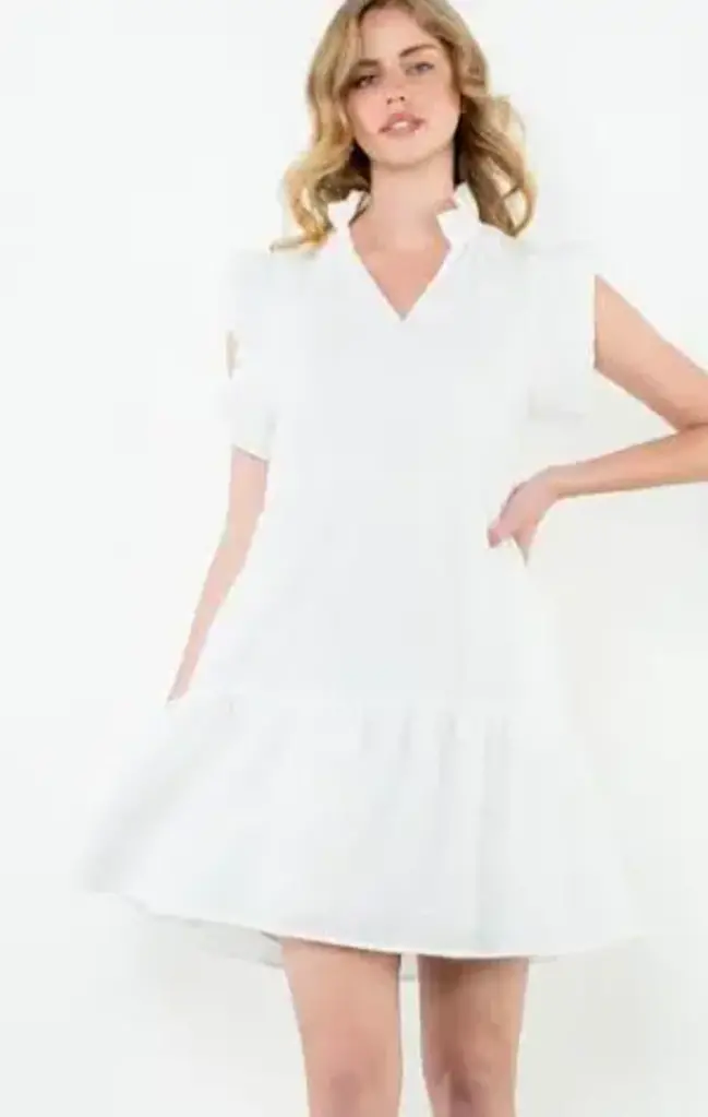 Ruffle Sleeve Gingham Dress
