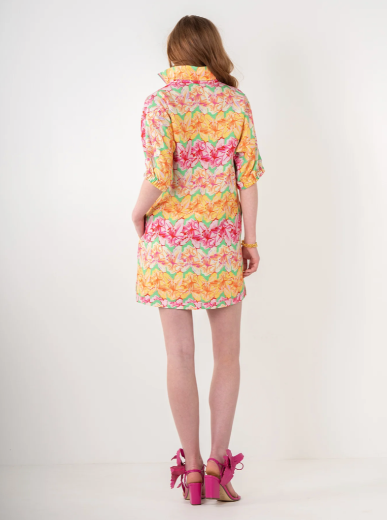 EMILY McCARTHY POPPY DRESS