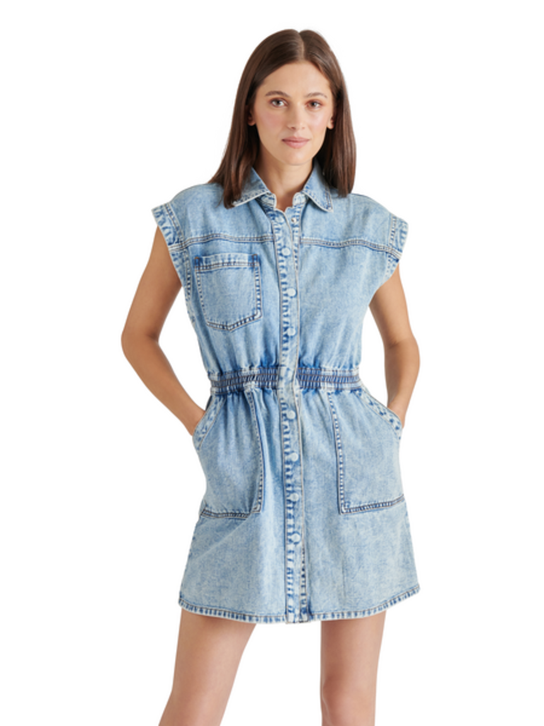 STEVE MADDEN ROBBIE DRESS