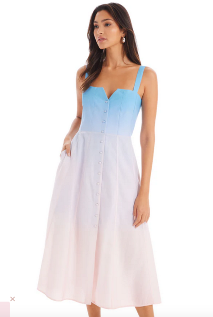 ALLISON NEW YORK BELLA DRESS