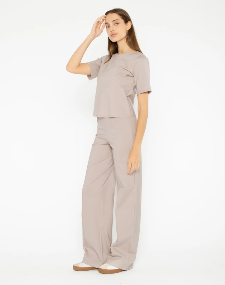 RIPLEY RADER CLAY PONTE KNIT SHORT SLEEVE TOP EXTENDED