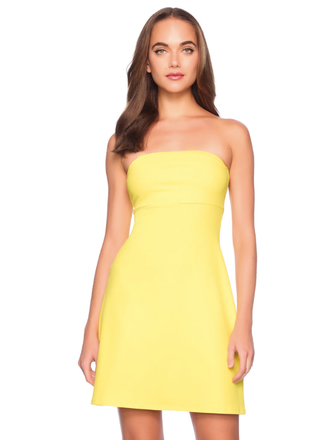 SUSANA MONACO TUBE FLARE DRESS