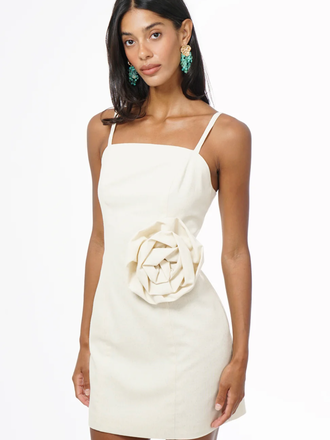 TABITHA FLORAL APPLIQUE MINI DRESS