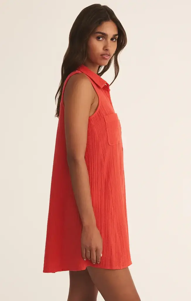 Z SUPPLY NEW LIGHT MINI DRESS
