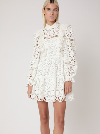 BERENICE RILEY EMBROIDERED MINI DRESS
