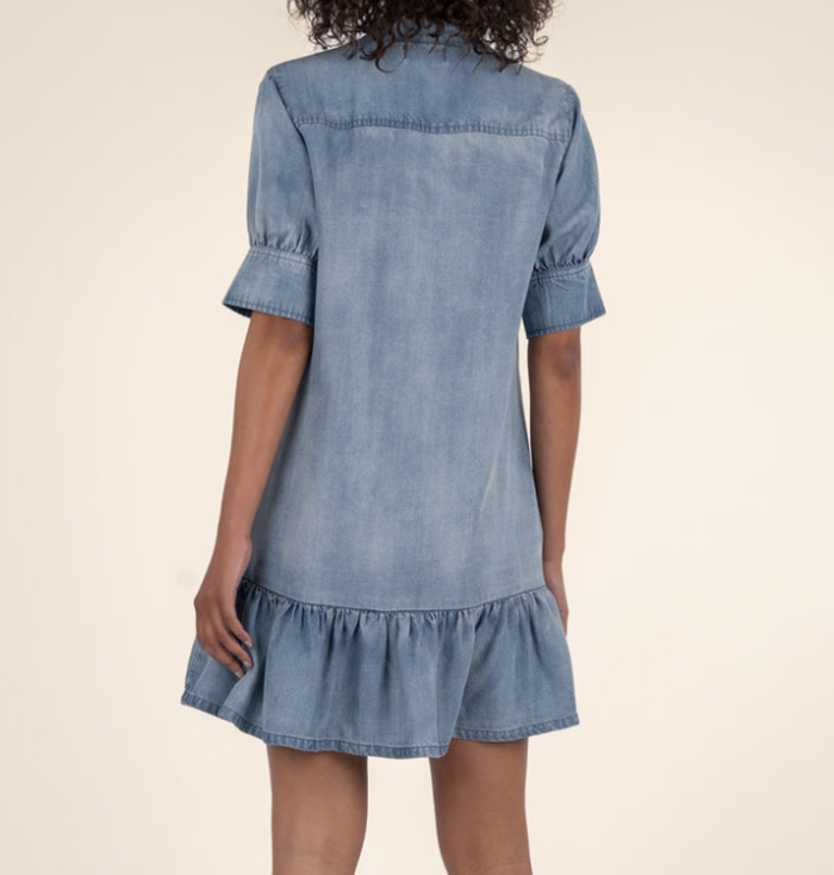 KUT BRUNA DENIM DRESS