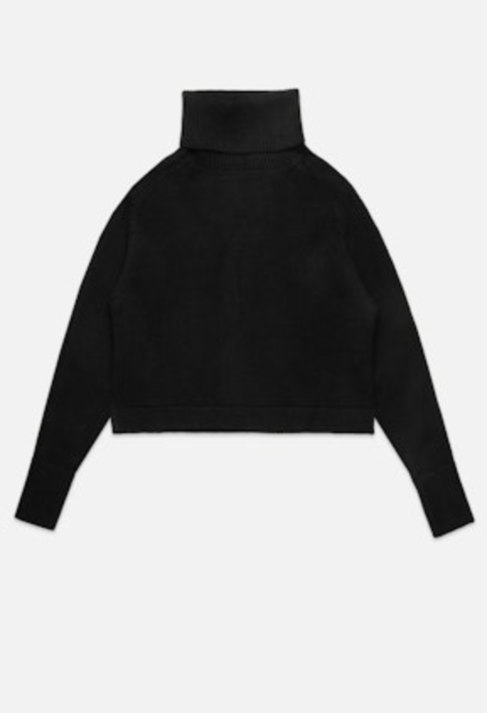 DÈLUC PUGLIESE TURTLENECK SWEATER