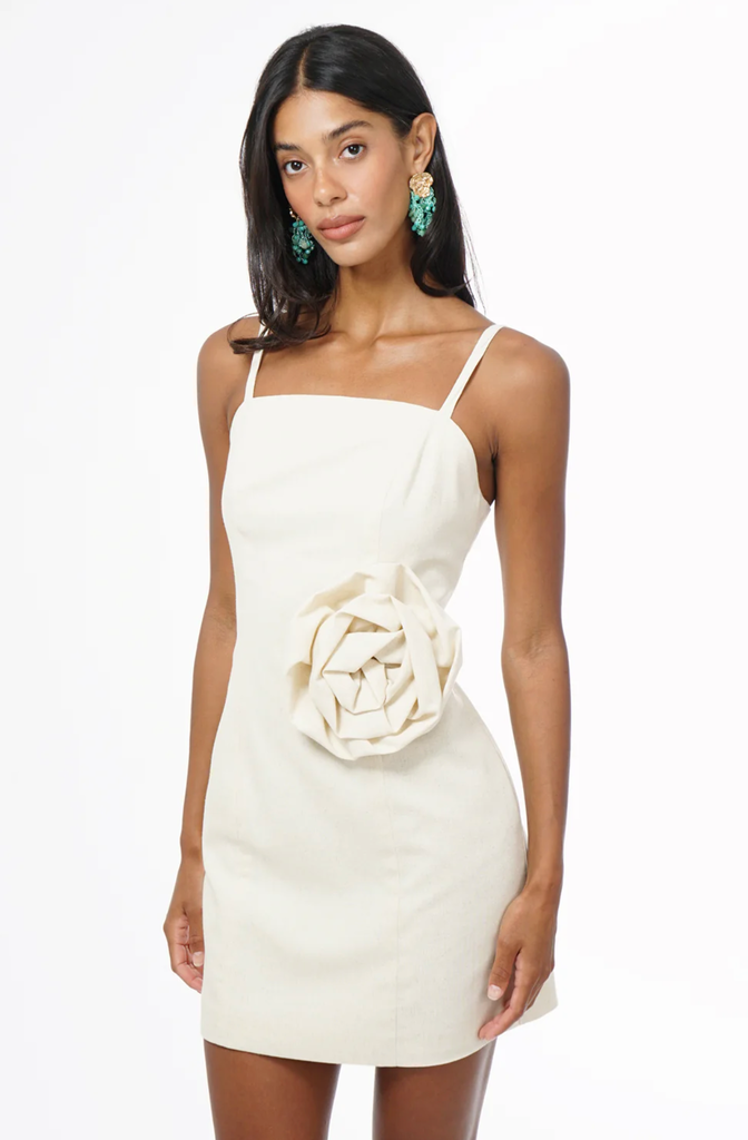 TABITHA FLORAL APPLIQUE MINI DRESS