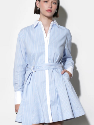 FAITH STRIPE GODET MINI SHIRT DRESS