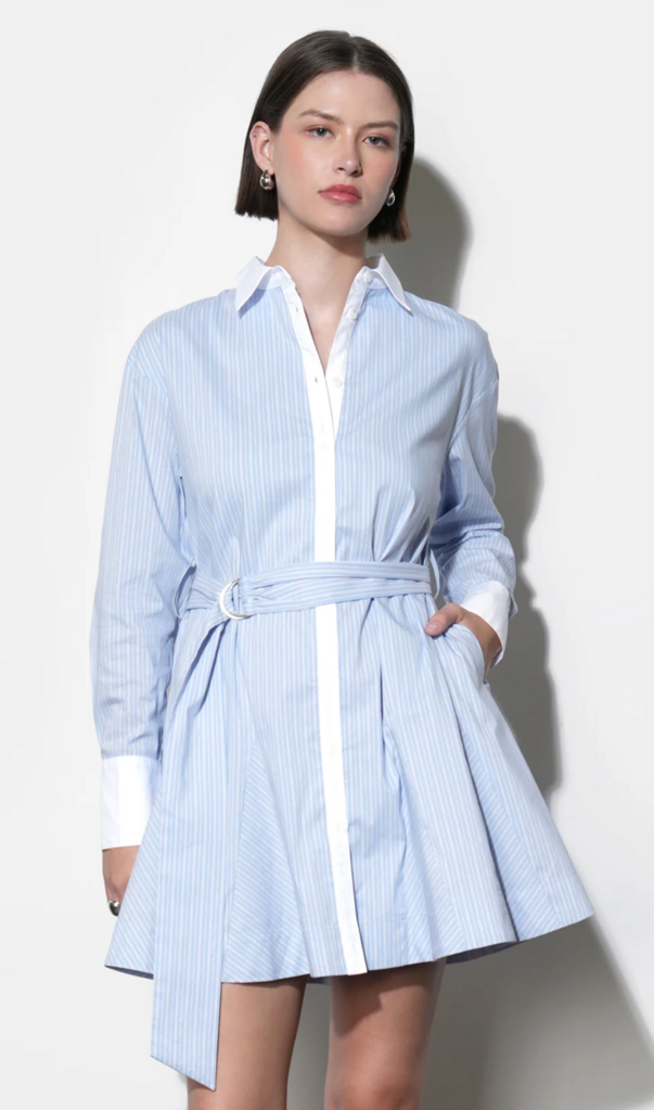 FAITH STRIPE GODET MINI SHIRT DRESS