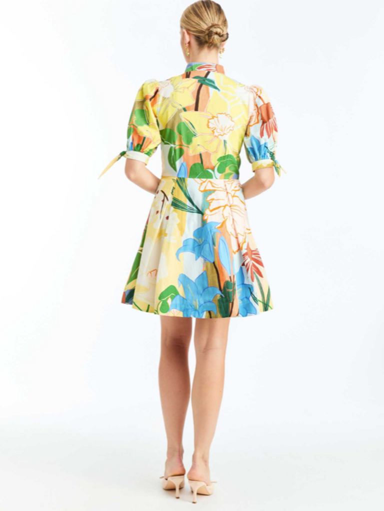 MESTIZA BROOKLYN MINI DRESS