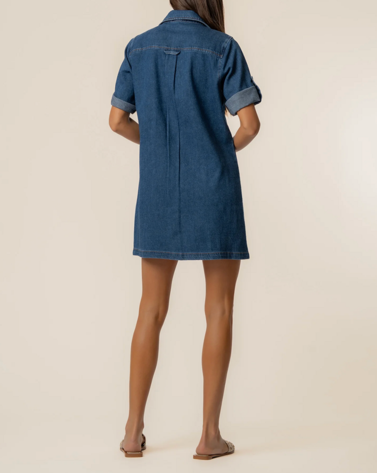 KUT ELIZA DENIM DRESS