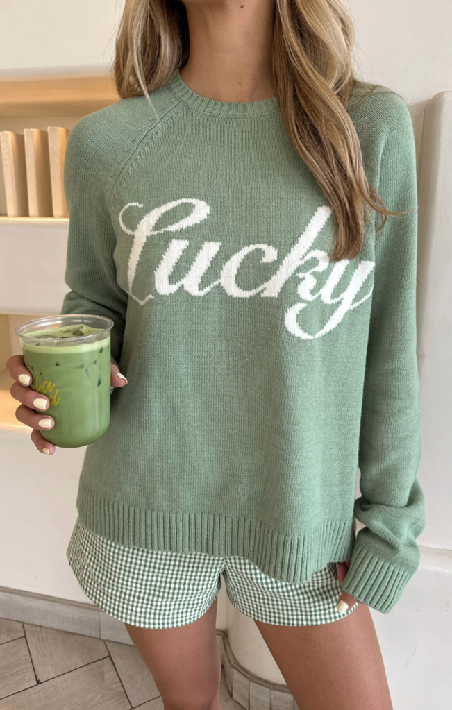 SHOW ME YOUR MUMU OFF DUTY SWEATER