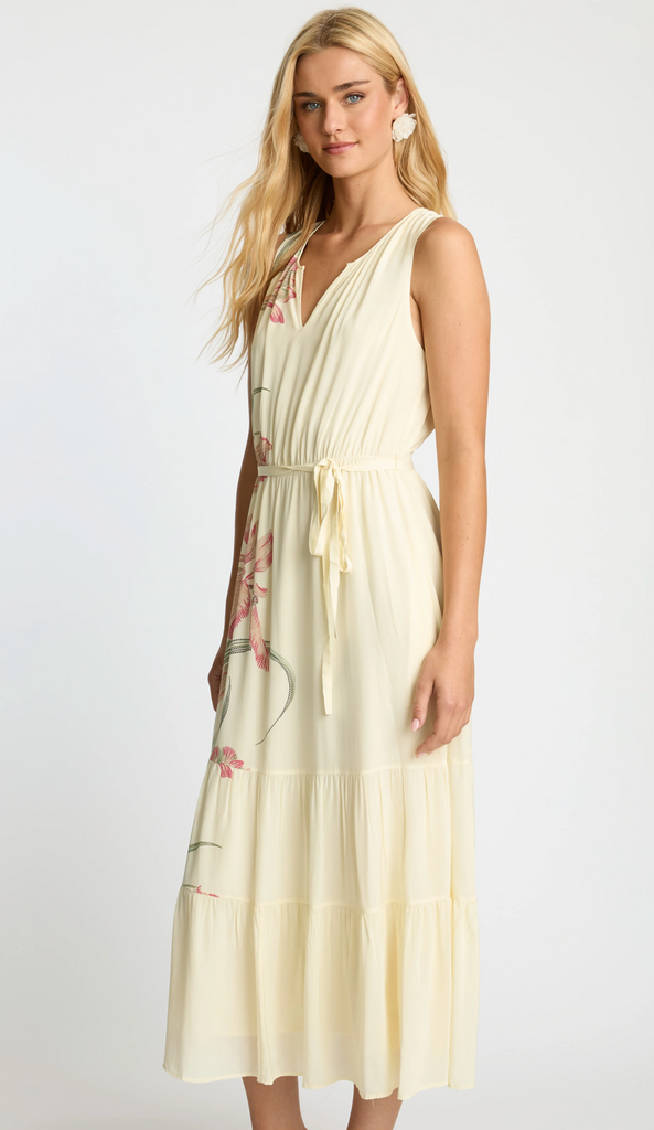 CABALLERO CAROL DRESS STIPPLED IRIS