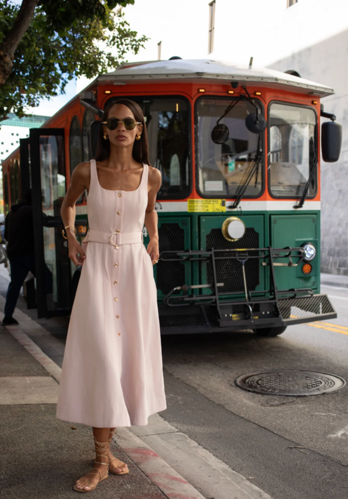 KARINA GRIMALDI ZYRA DENIM DRESS