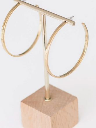 LESLIE CURTIS BRIDGITTE HOOPS