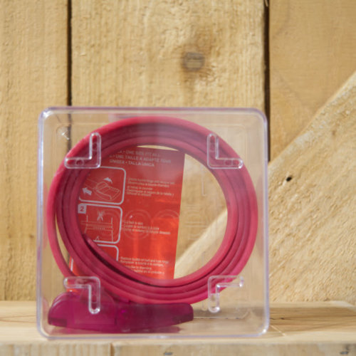 Borel Youth Nickel Free Belt - Magenta Borel Youth Nickel Free Belt - Magenta