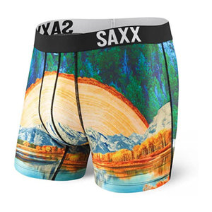 SAXX Fuse Boxer Brief - Morning Wood