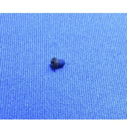 Shimano BNT4272 - Shimano Screw