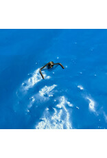 Daiwa F73-1201 -  Daiwa Clutch Cam Spring