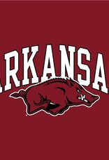 Champion Arkansas Razorback Basic Short Sleeve Jersey Tee By Champion